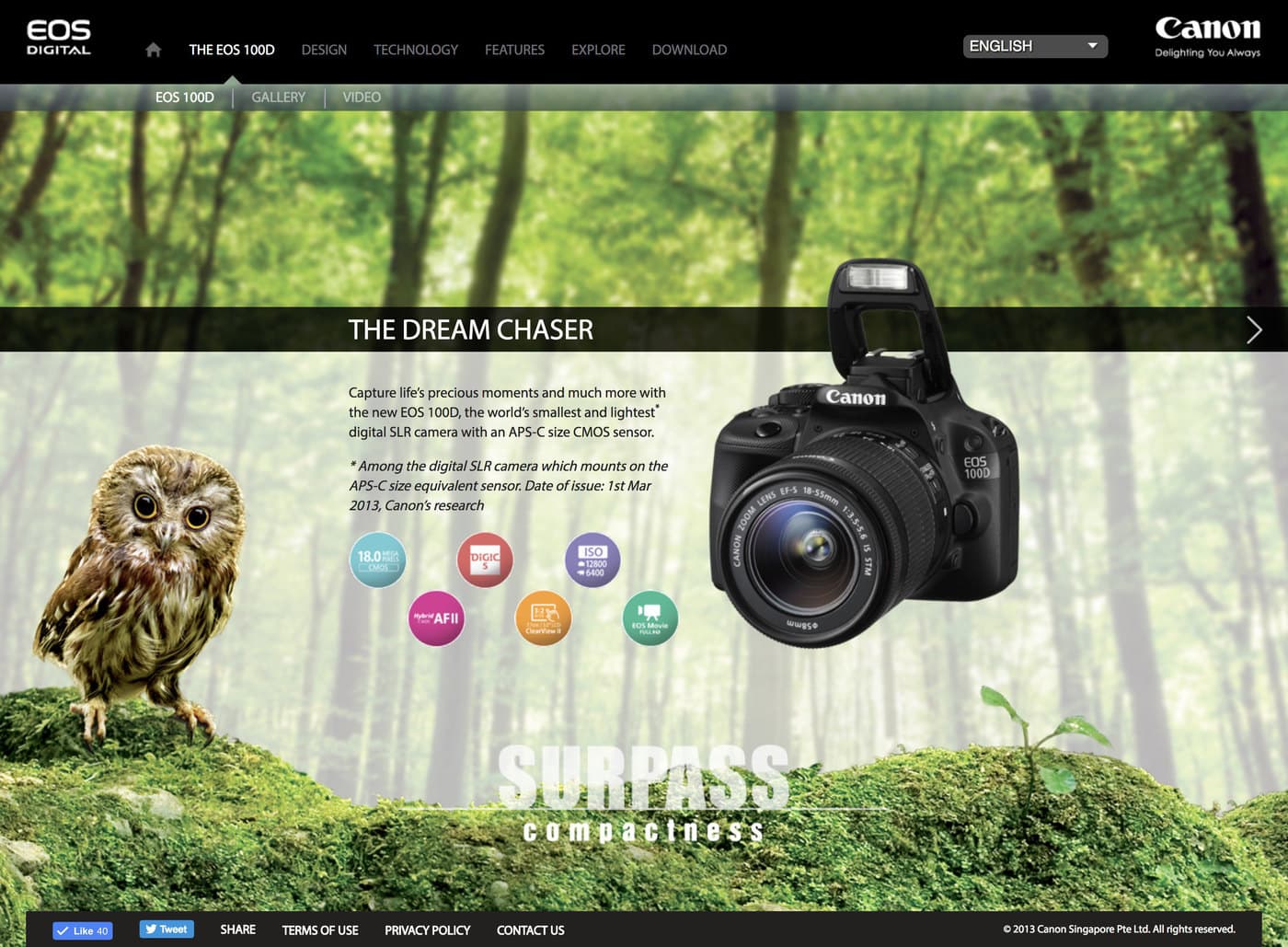 The EOS 100D 'The Dream Chaser' page: an owl on a mossy log in a sunlit forest, the camera beside it, and six coloured spec badges for 18 megapixels, DIGIC 5, ISO 12800, Hybrid AF II, Creative Filters and EOS Movie Full HD.