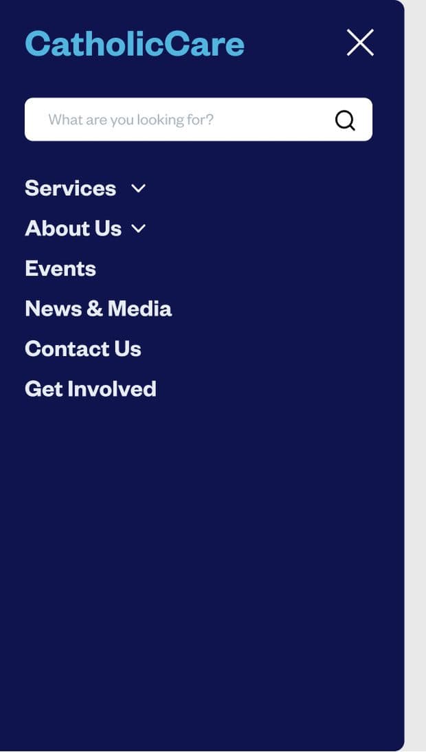 The phone menu open over a dark blue ground, with a 'What are you looking for?' search field above the navigation list.